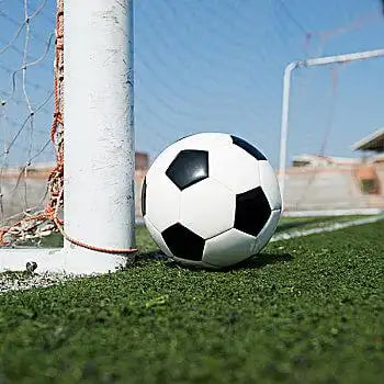 雪缘园足彩比分完场赛果使用流程示意图